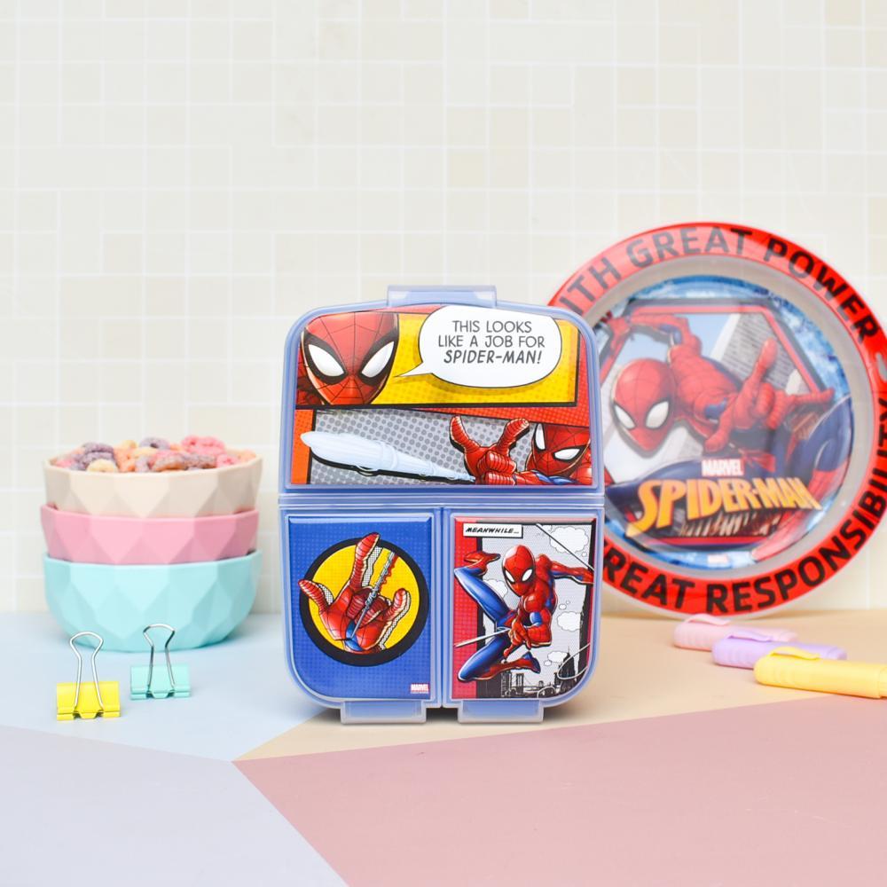 HERMETICO CON DIVISIONES SPIDER