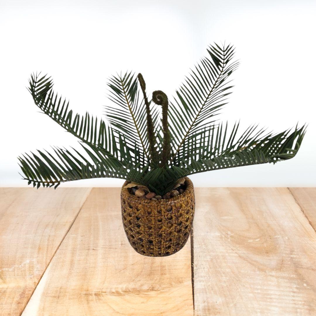 PLANTA 32X7CM